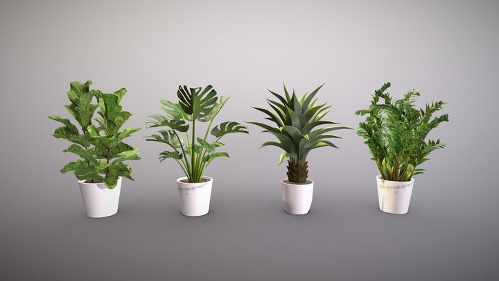 Indoor Plant Pack | Realistic 3D Model