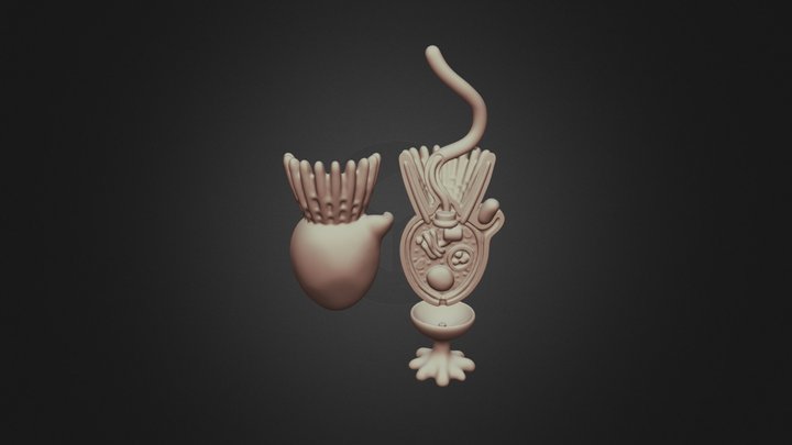 Choanoflagellate Structure Classroom Model 3D Model