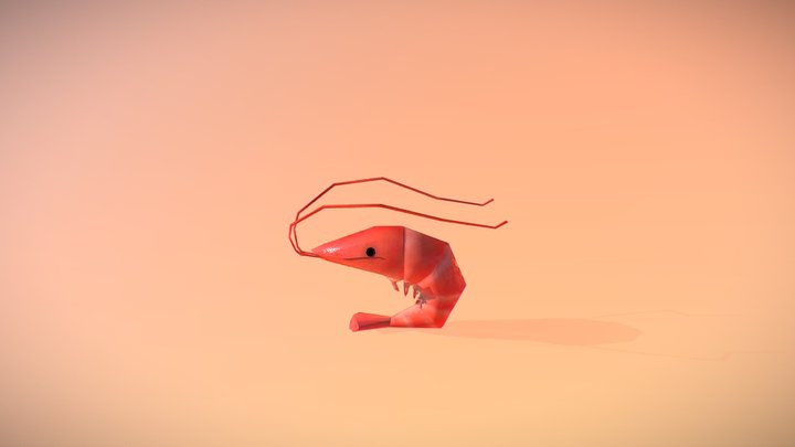 Lil Shrimpy Boi 3D Model