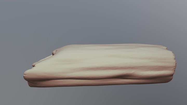 Log 3D Model