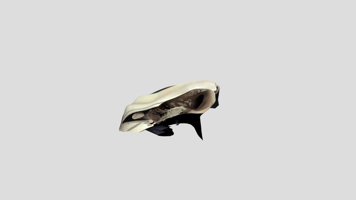nomen1 3D Model