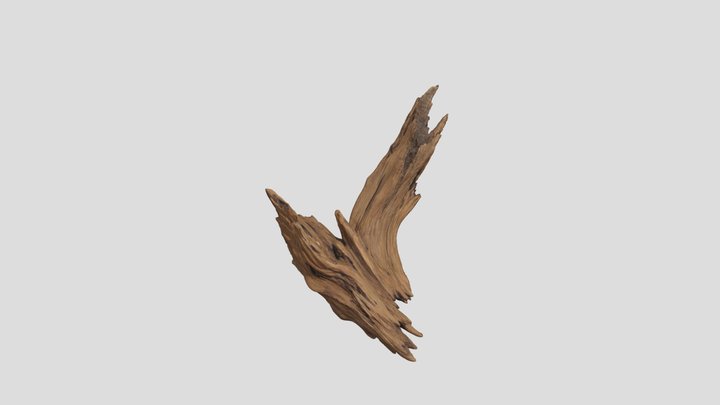 Winged Driftwood 3D Model