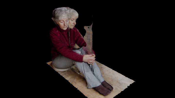 Miroirdomicut 3D Model