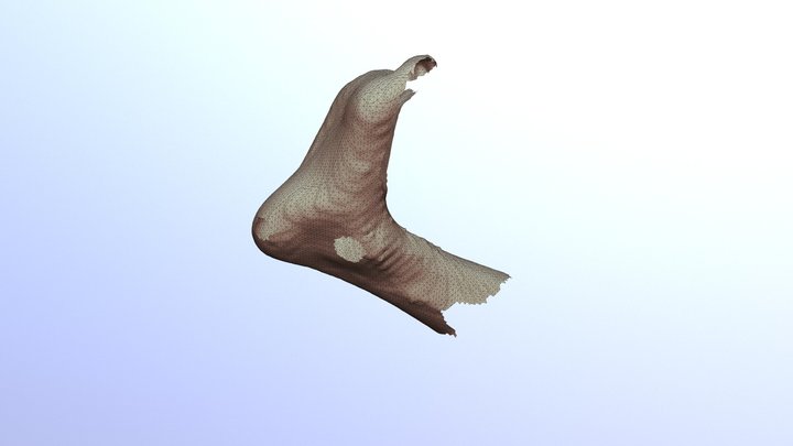 Foot4 3D Model