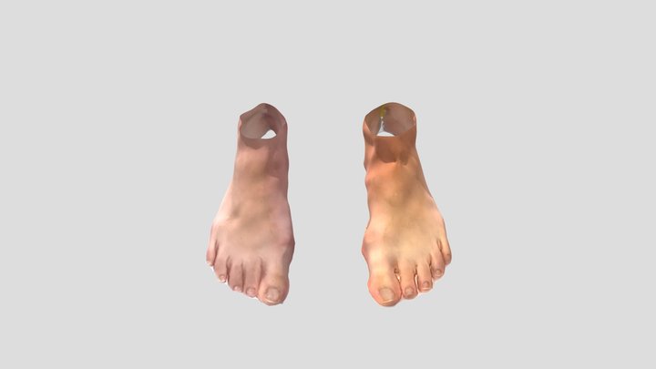 足部3Dデータ20201012-01 3D Model