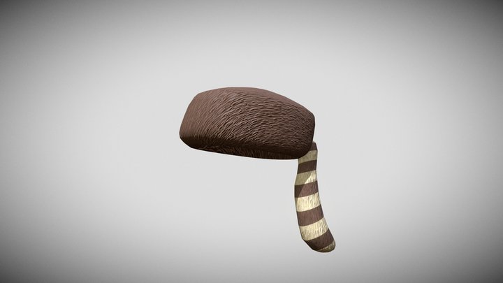 Coonskin Cap - Racoon Hat 3D Model