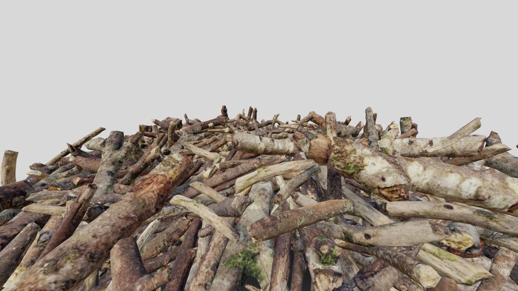 That's one big pile of stick
