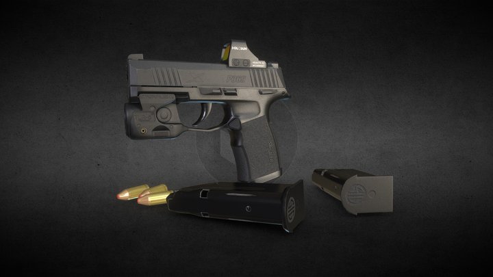 Custom P365(X) 3D Model