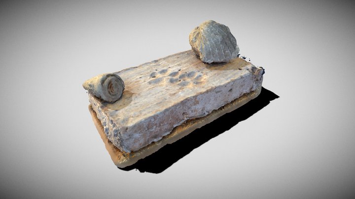 Ladrillo con fósiles 3D Model