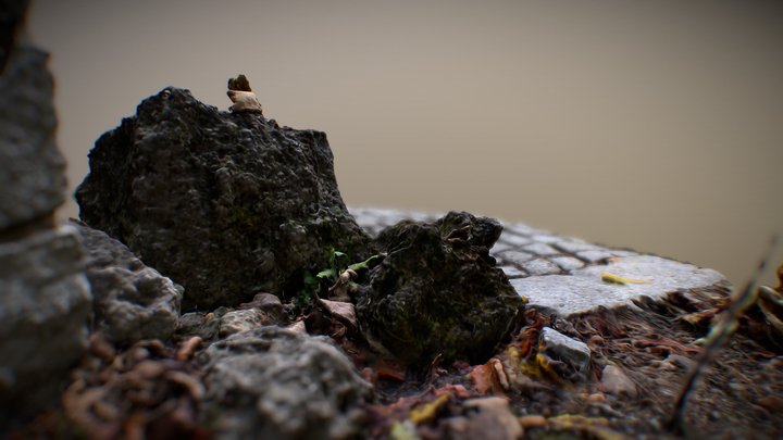 stones 3d scan 3D Model