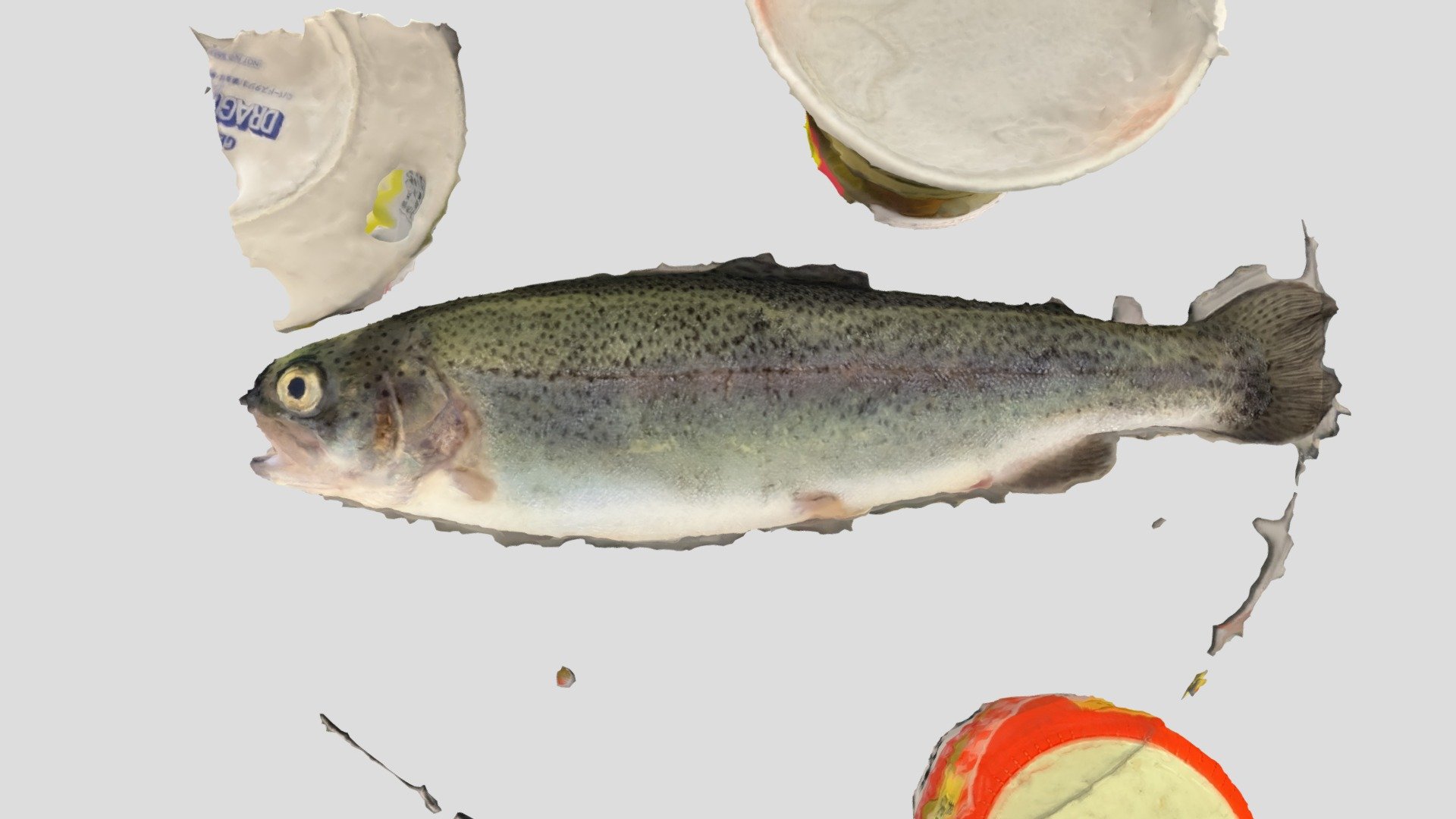 Raw trout