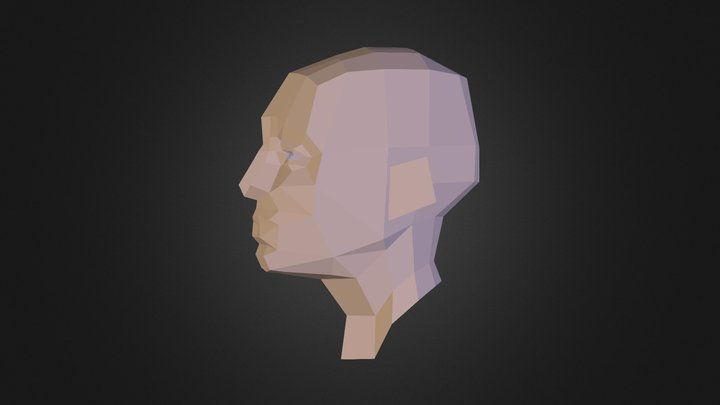 Head Planes 01 3D Model