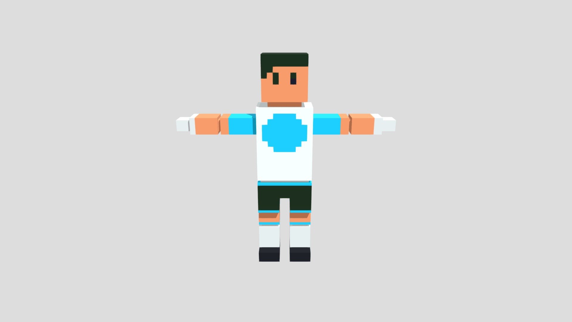 Voxel Character Soccer
