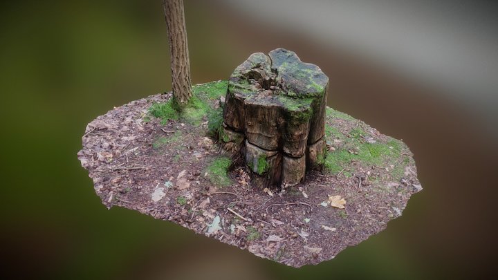 Stump and trunk – Free 3D Model STL
