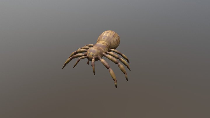 Spider Game Ready 3D Model