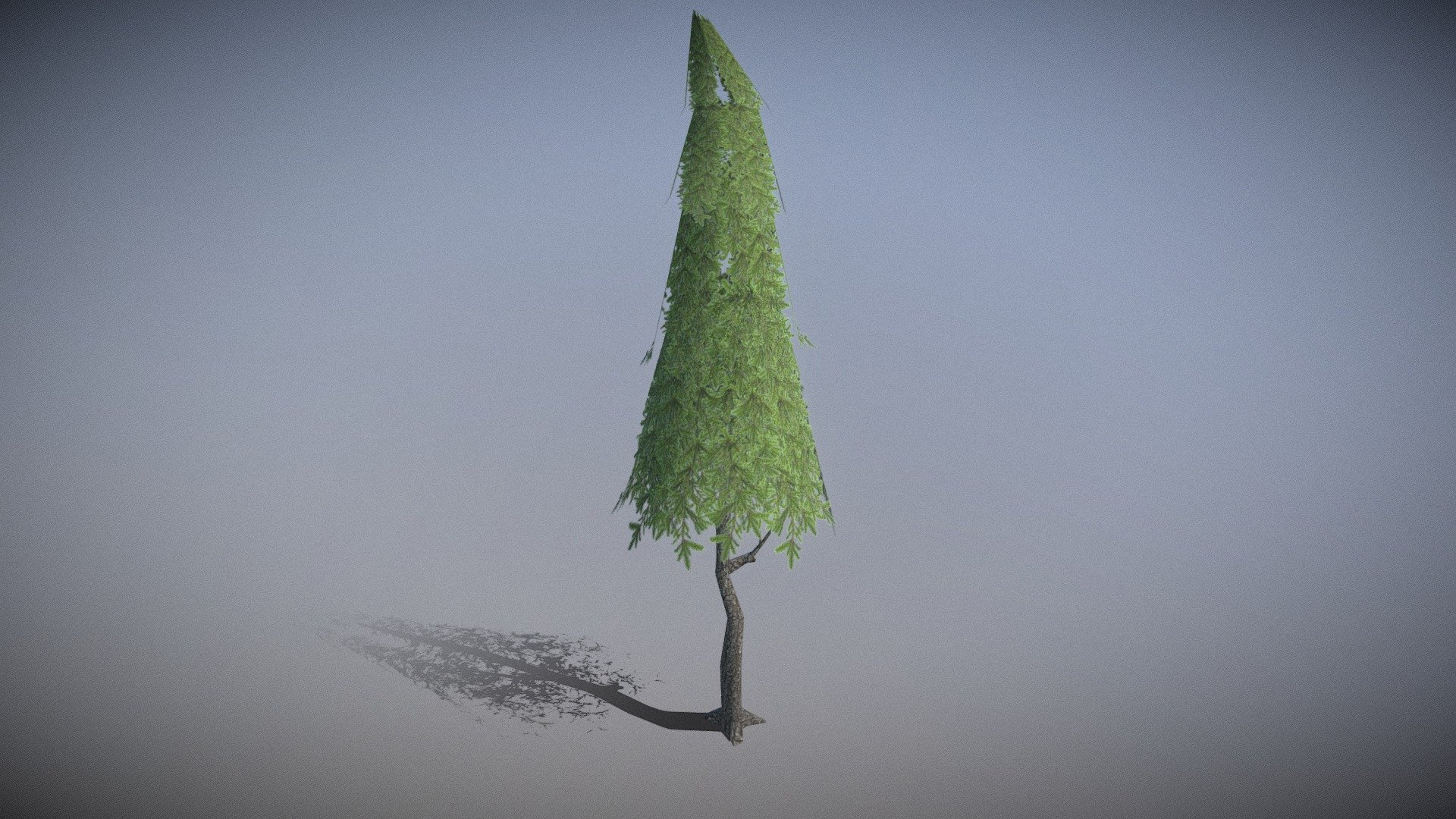 Tree04