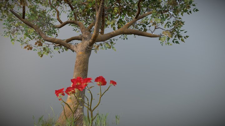 Foliage 3D Model
