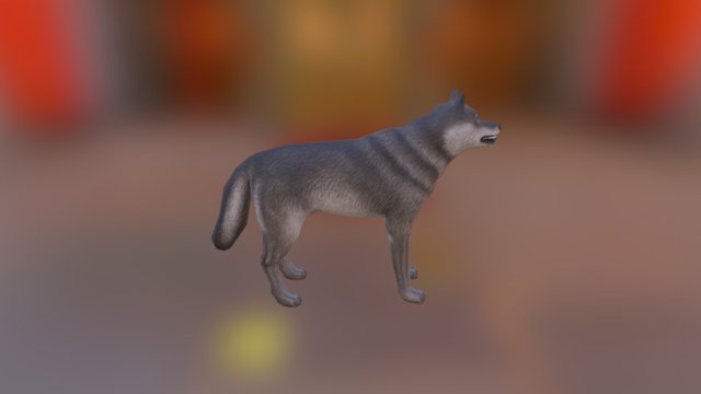 lobo 3D Model