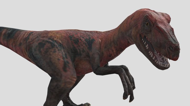 Velociraptor  (reuploaded and retextured)