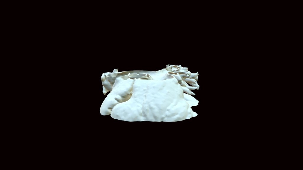 S0025