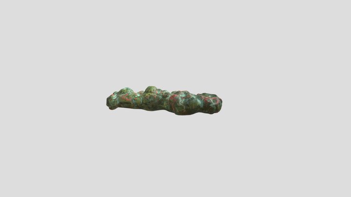 Coral 3D Model