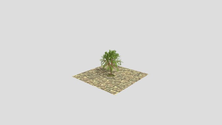 Tree 3D Model