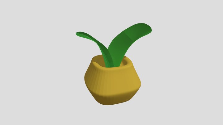 Plant 3D Model