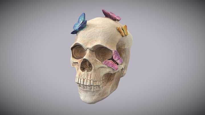 Skull with Butterflies Photogrammetry 3D Model