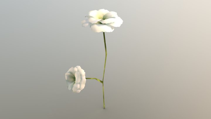 Flowers - Mish R 3D Model