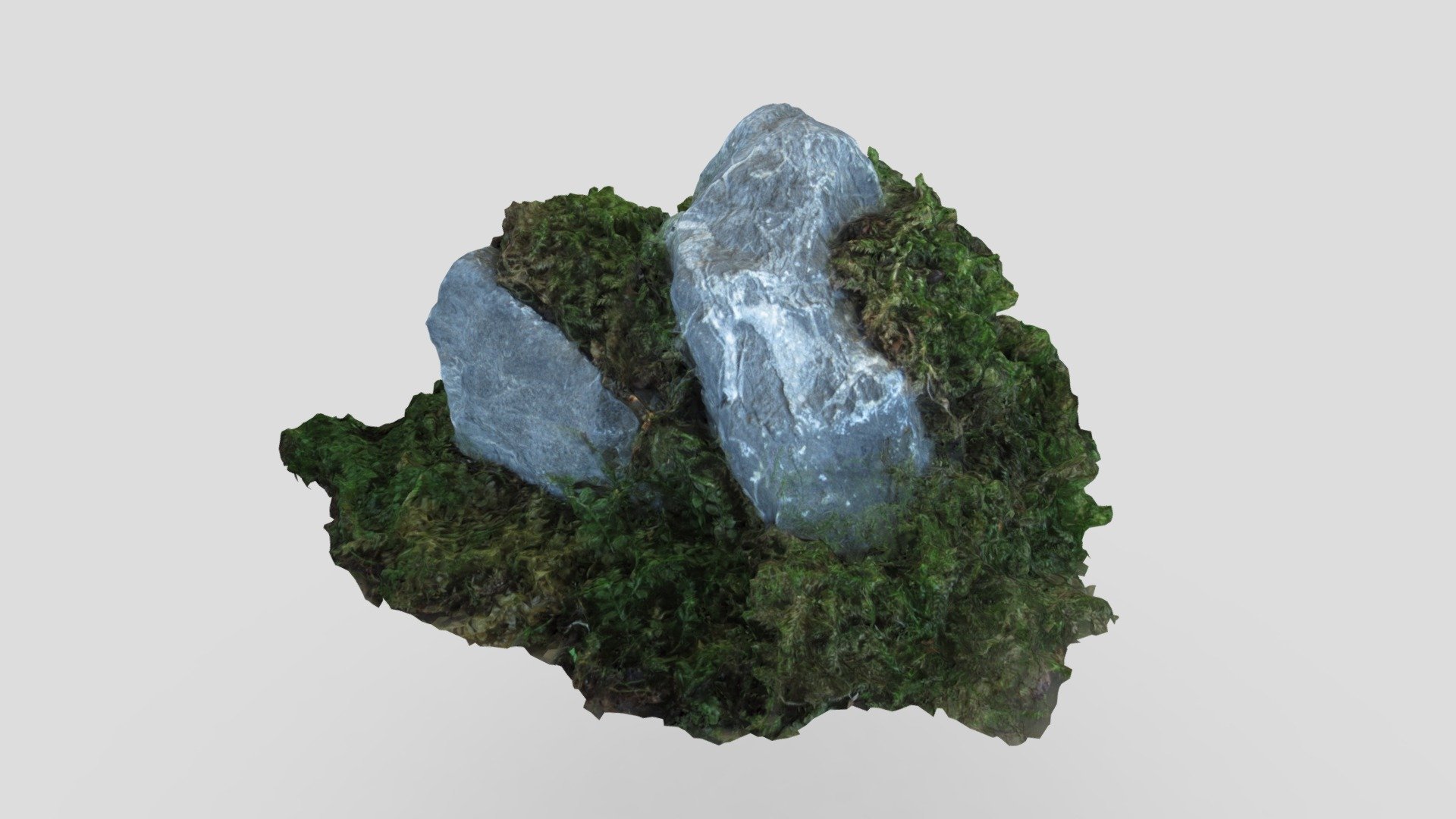 Moss - Photogrammetry