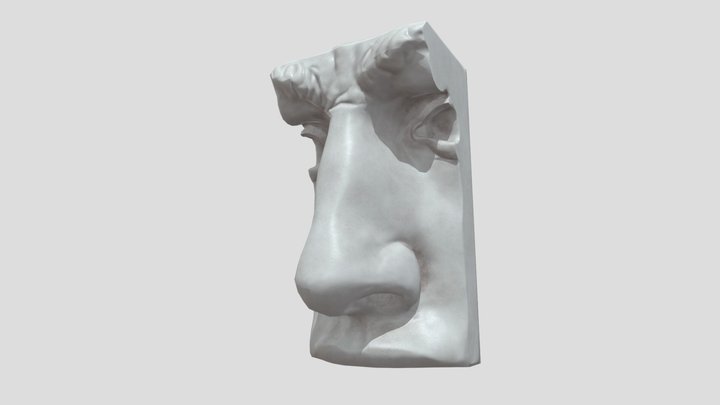Nose (plaster cast) 3D Model