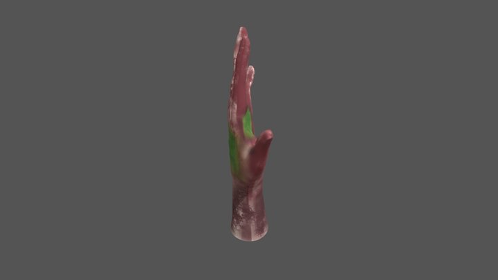 1_GD_3D_hand_High_poly_sculpted_LiamSchoofs 3D Model