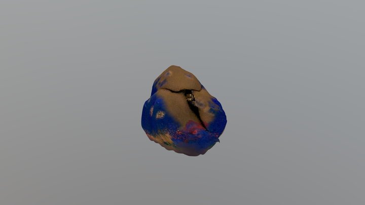 blue pink 3D Model