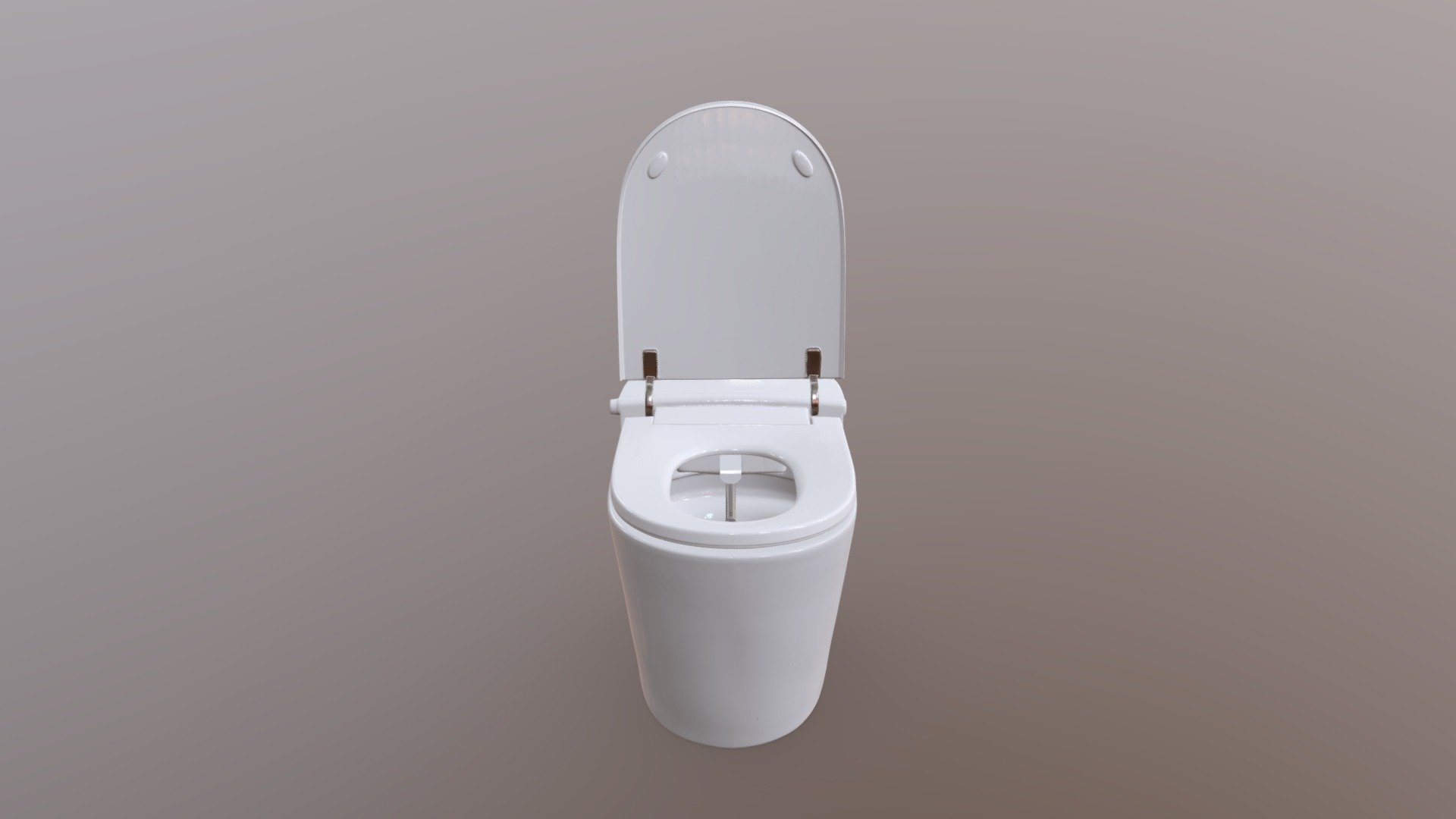 Luxury Toilet