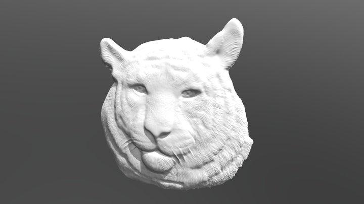 Siberian Tiger Head bas relief 3D Model