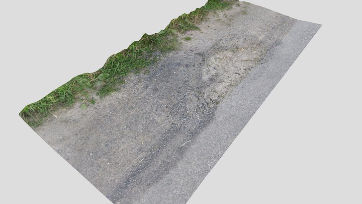 Ground Scan 8k 014 3D Model