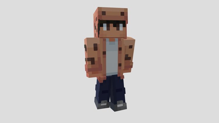 Naparizel 3D Model – Minecraft Style Character