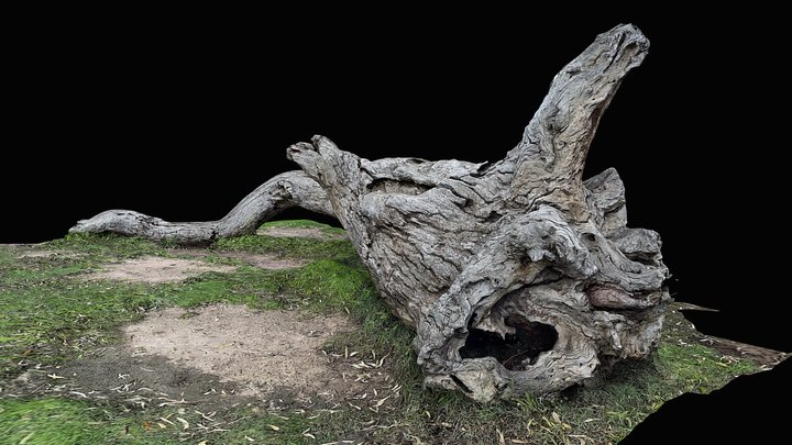 Fallen Tree – Modello 3D gratuito STL