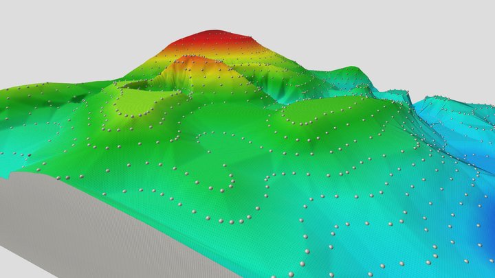 Morasko crater field: DTM 1 3D Model