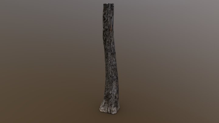Bald Cypress Narrow Retopologized – Modèle 3D gratuit STL