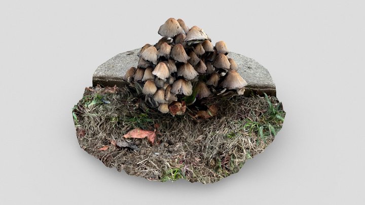 Day 316: Mushrooms – Free 3D Model STL