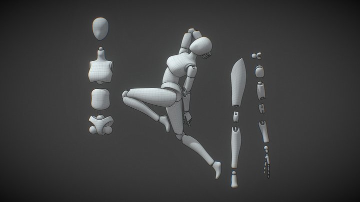 Ball Joint Doll Basemesh 3D Model