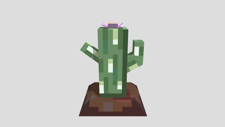 Cactus on a Windy Day!! 3D Model