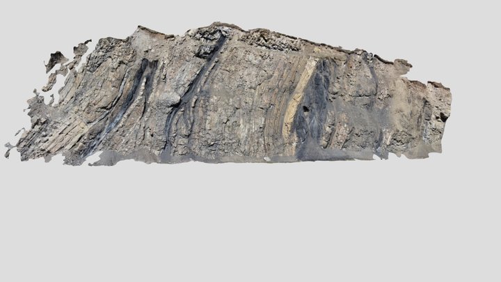 Moosebar Formation - Susa Creek Anticline 3D Model