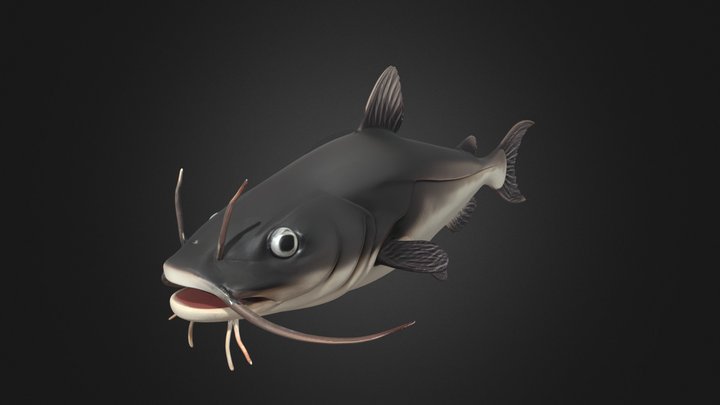 Catfish 3D models - Sketchfab