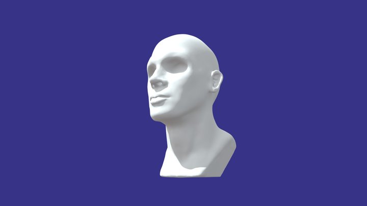 Male Head 3D Model