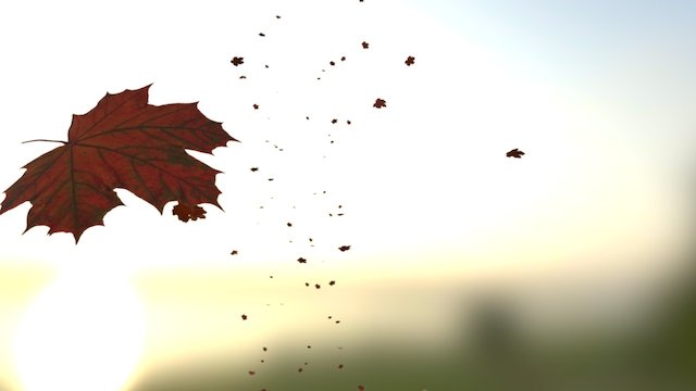 Falling Leaves 3D Model