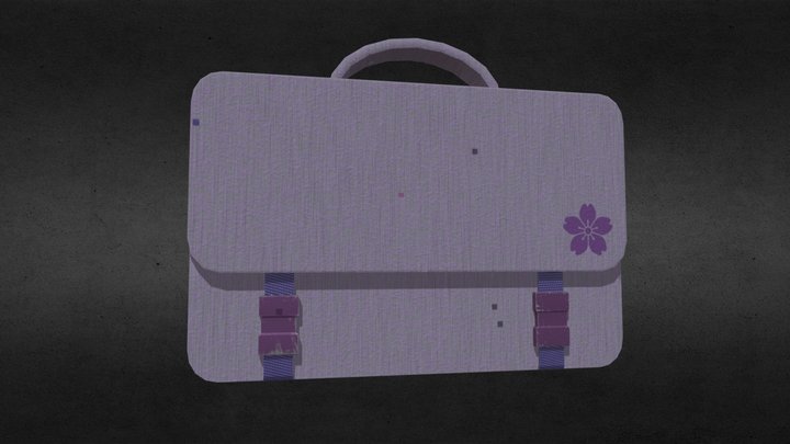 Bag 3D Model