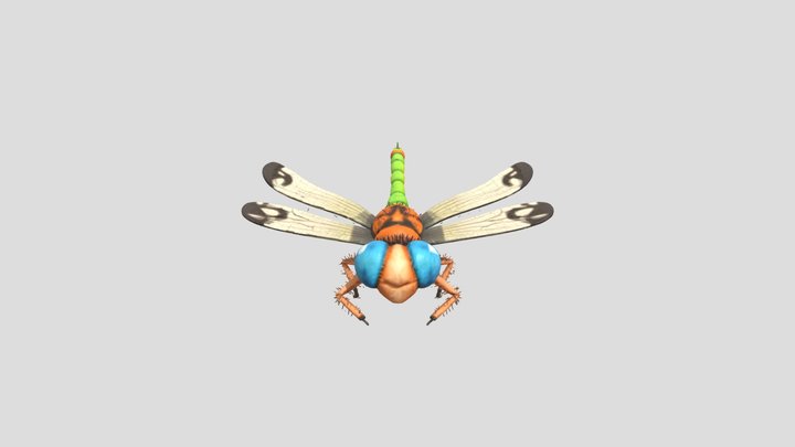 Colorful Dragonfly 3D Model