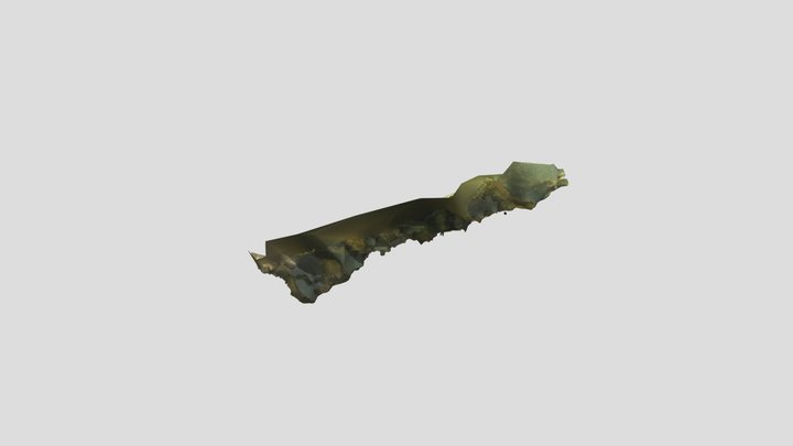 Loch Achilty NAS timber 20 3D Model